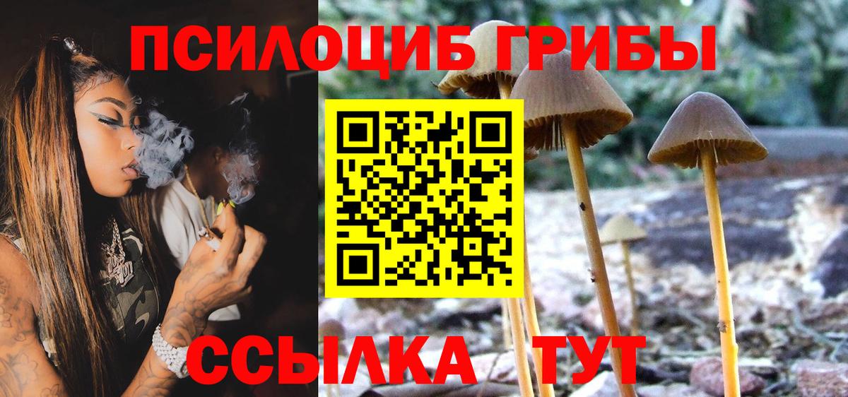Псилоцибиновые грибы ЛСД Кинель
